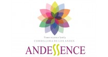 Andessence